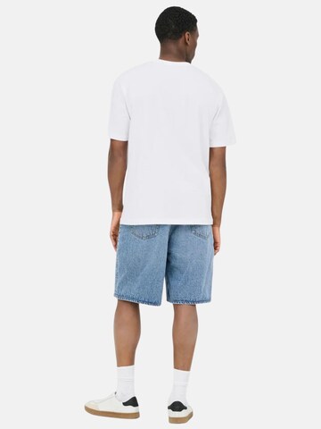 Only & Sons Shirt 'ONLY & SONS ONSALEX PASSA RLX SS TEE T-SHIRT' in White