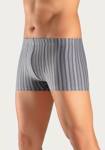 LE JOGGER Boxer shorts in Grey