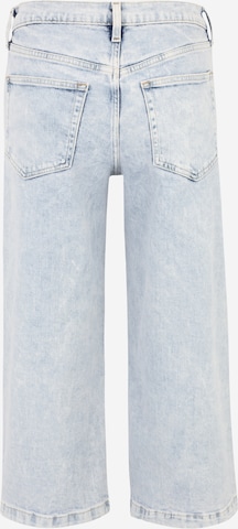 Gap Petite regular Jeans 'NORTON' i blå