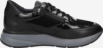 SIOUX Sneaker low 'Segolia' in Schwarz