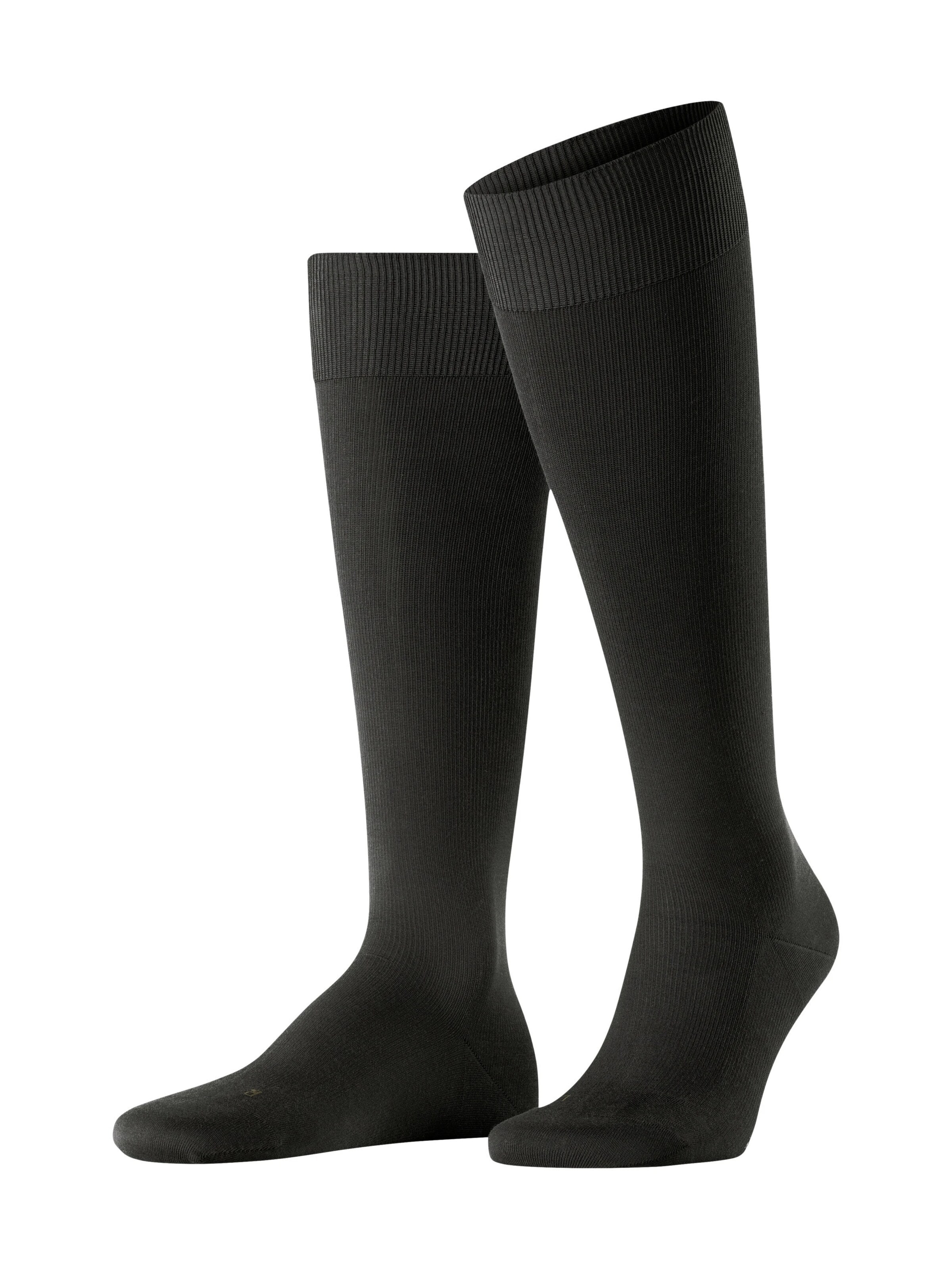 FALKE Knee High Socks 'Energizing Cotton' in Brown: front
