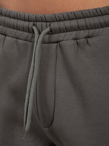 Effilé Pantalon Smilodox en gris