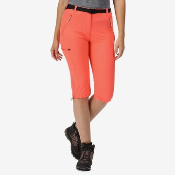 REGATTA Regular Outdoor Pants 'Xert' in Orange: front