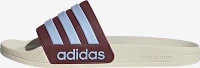 38 dydžio Šlepetės 'Adilette Shower' iš ADIDAS SPORTSWEAR, spalva – šviesiai mėlyna / vyno raudona spalva, Prekių apžvalga