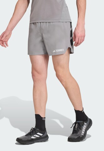 ADIDAS TERREX - regular Pantalón de montaña 'Xperior' en gris: frente