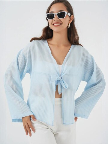 Bigdart Blouse in Blue