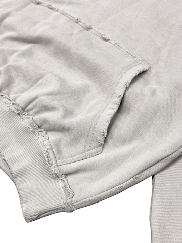 FAVELA Sweatshirt 'Puff' in Grey