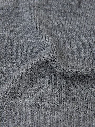 Reima Handschoenen ' Sormin ' in Grijs