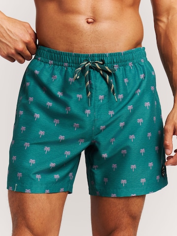 PROTEST Board Shorts 'PRTMascot' in Green