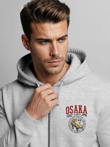 Neverless Zip-Up Hoodie 'Osaka' in Grey