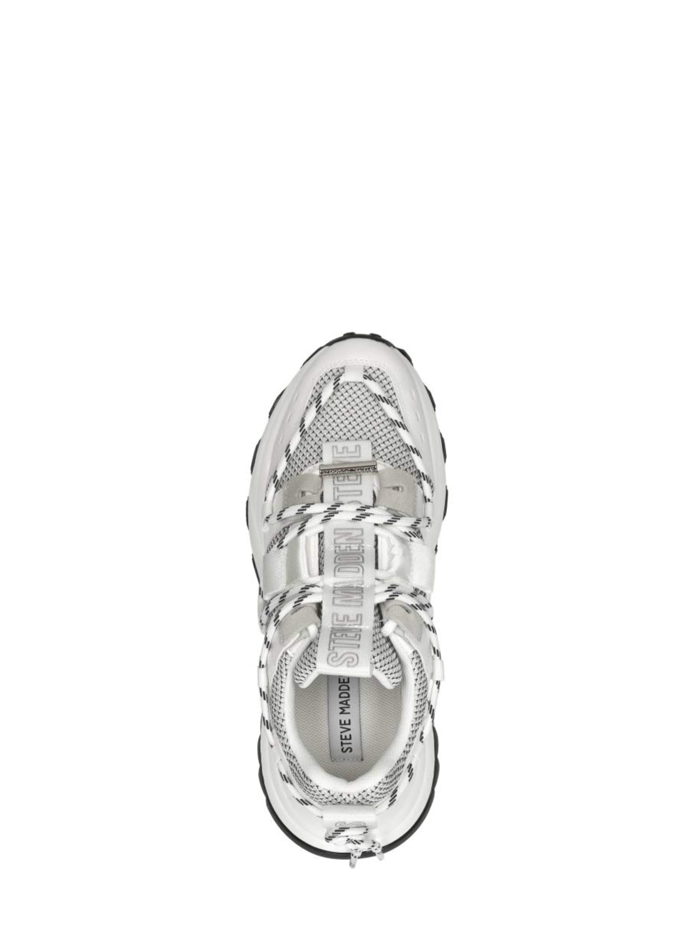 STEVE MADDEN Sneakers 'Tazmania' in White