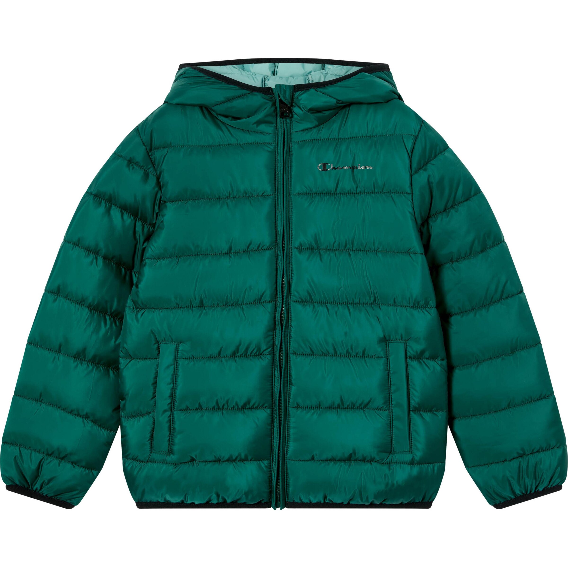Champion Authentic Athletic Apparel Winter Jacket in Green: front