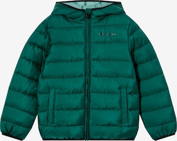 Champion Authentic Athletic Apparel Winter Jacket in Green: front
