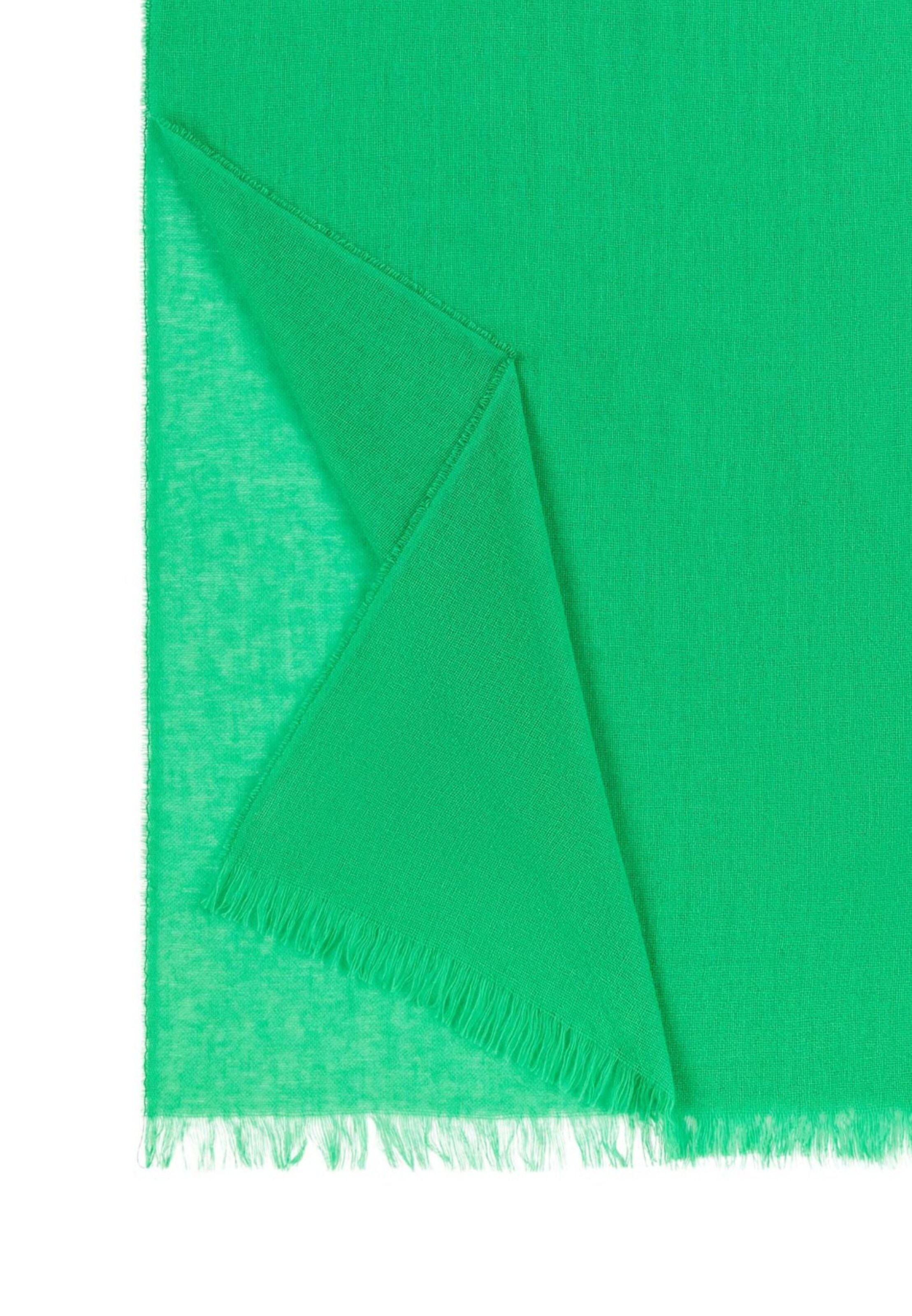 Roeckl Scarf 'BASIC WOOL' in Green