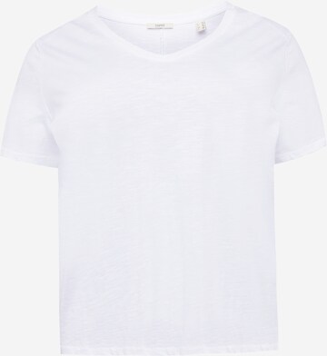 T-shirt Esprit Curves en blanc : devant