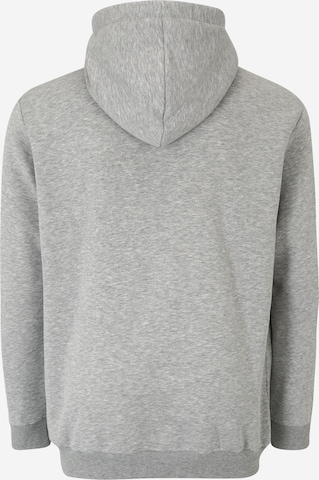 Only & Sons Big & Tall - Sudadera 'CERES' en gris