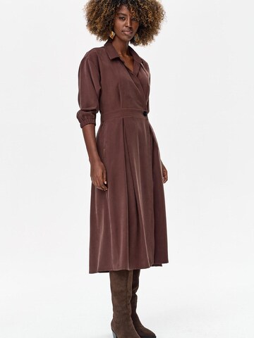 Blue Shadow Dress in Brown