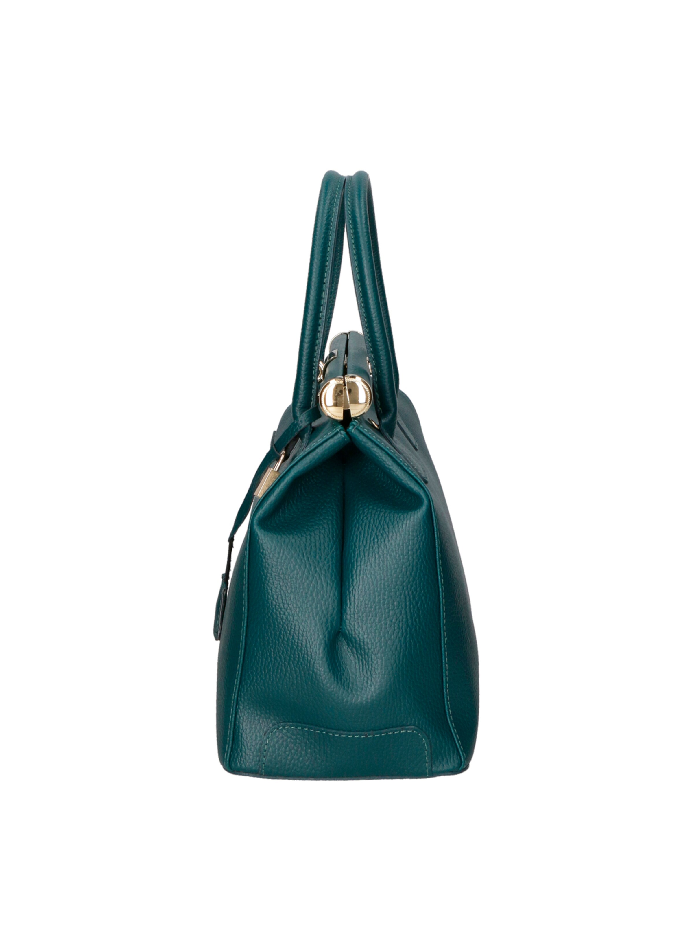 CHICCA BORSE Handbag in Green