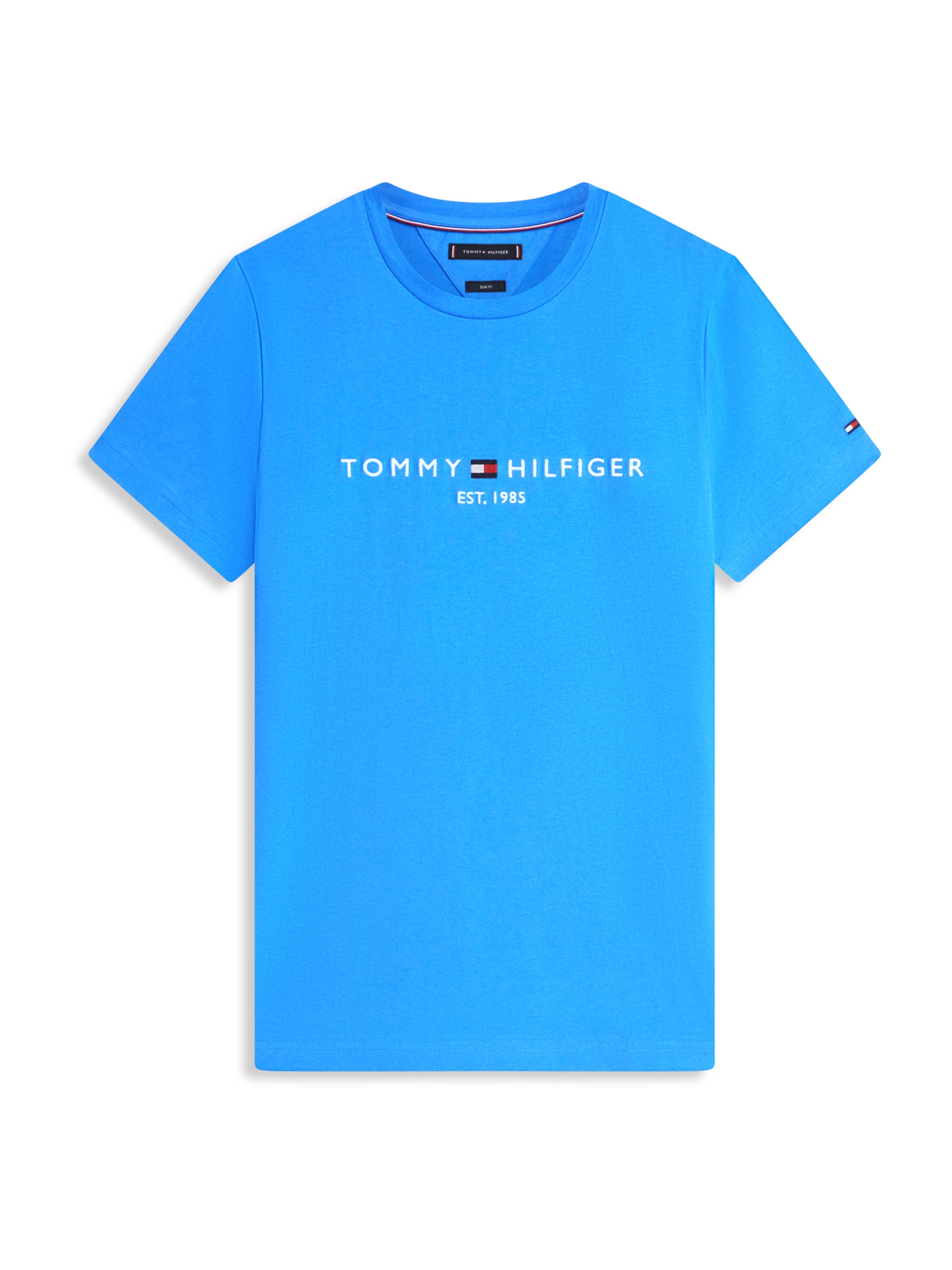 TOMMY HILFIGER - Camisa em azul: frente