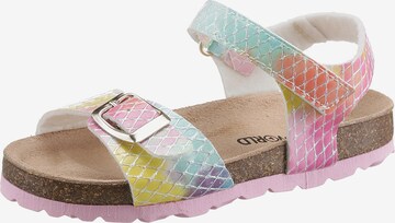 Kidsworld Sandals in Mixed colors: front