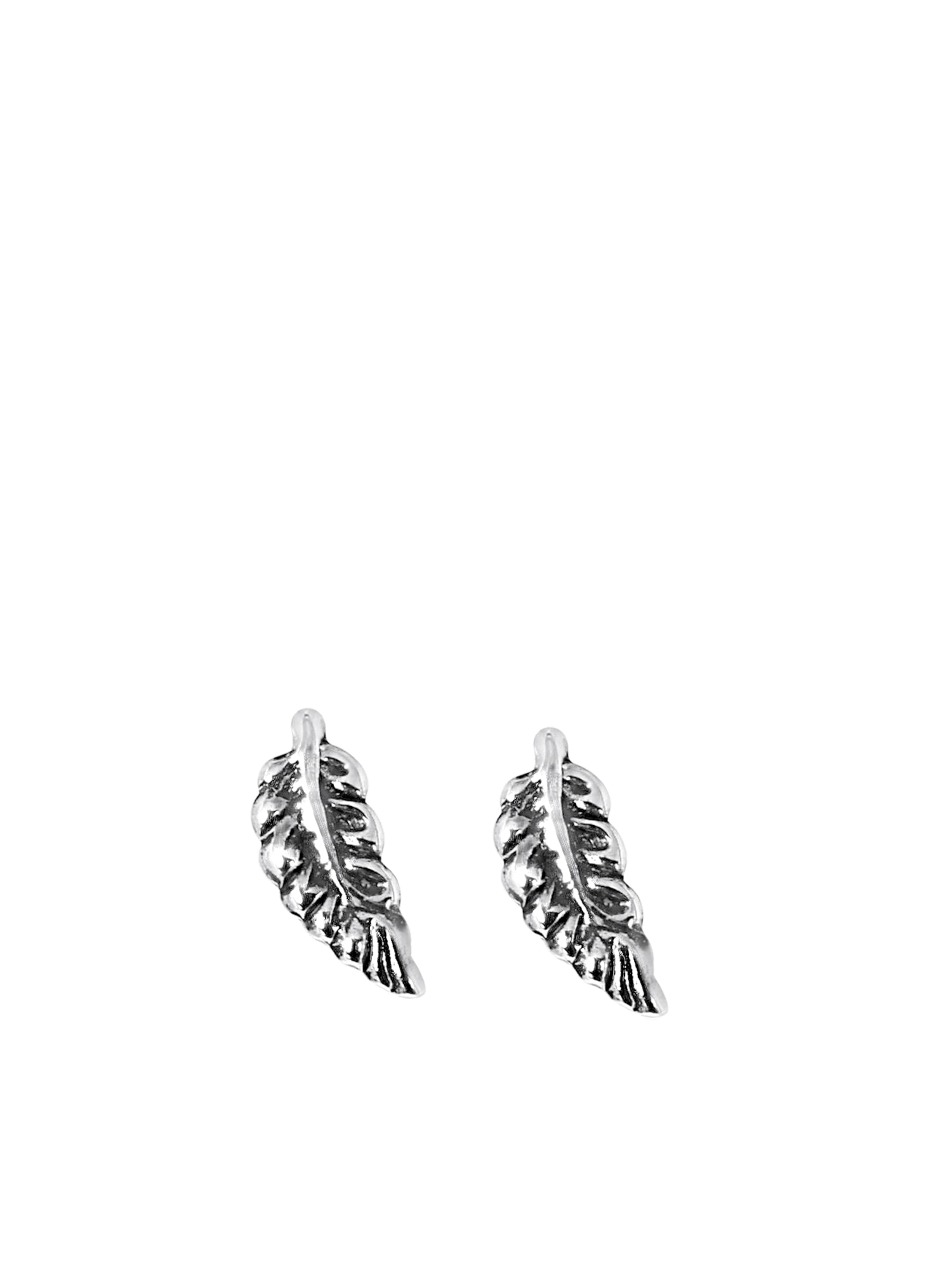 Lucardi Earrings in Silver: front