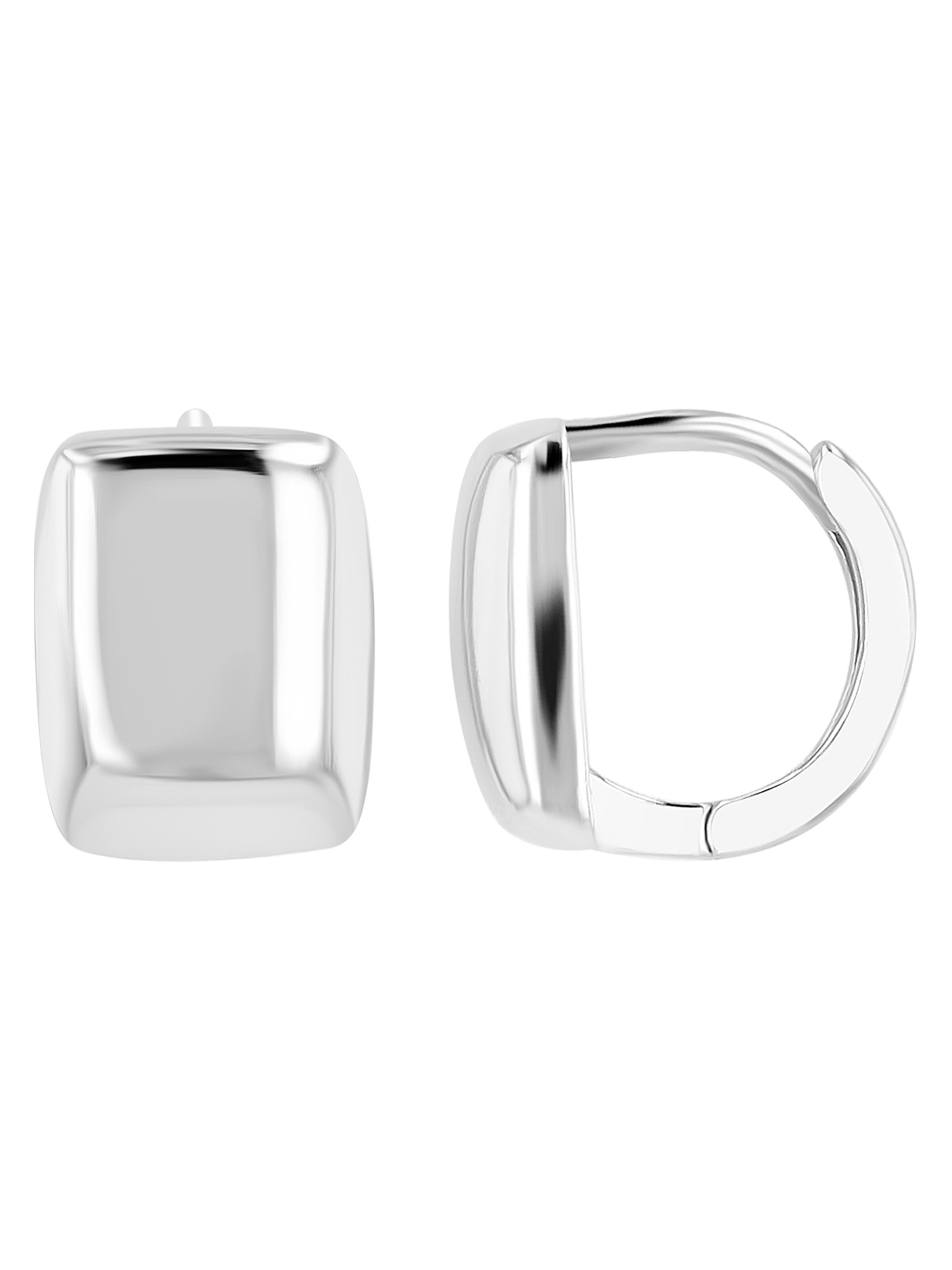 Akzent Earrings 'langlebig' in Silver: front