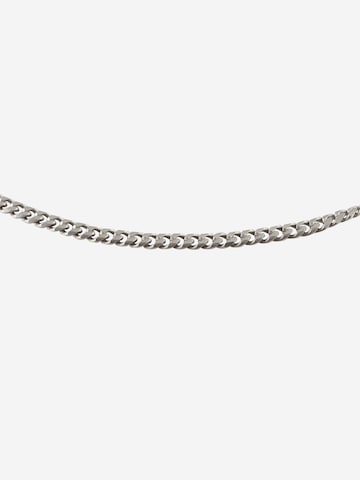 Calvin Klein Necklace in Silver