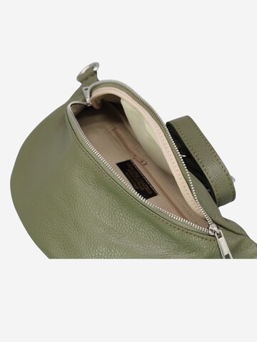 Brise Crossbody Bag 'Linda' in Green
