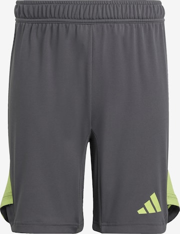 ADIDAS PERFORMANCE Sportshorts 'Tiro 25 Pro' in Grau: Vorderseite