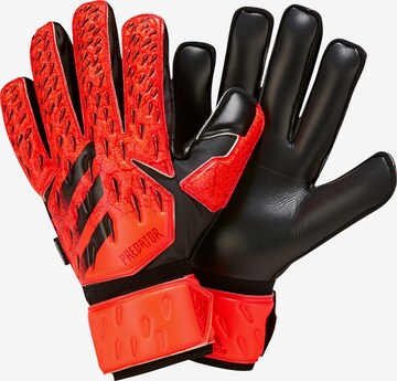ADIDAS PERFORMANCE Handschuhe in Rot: predná strana
