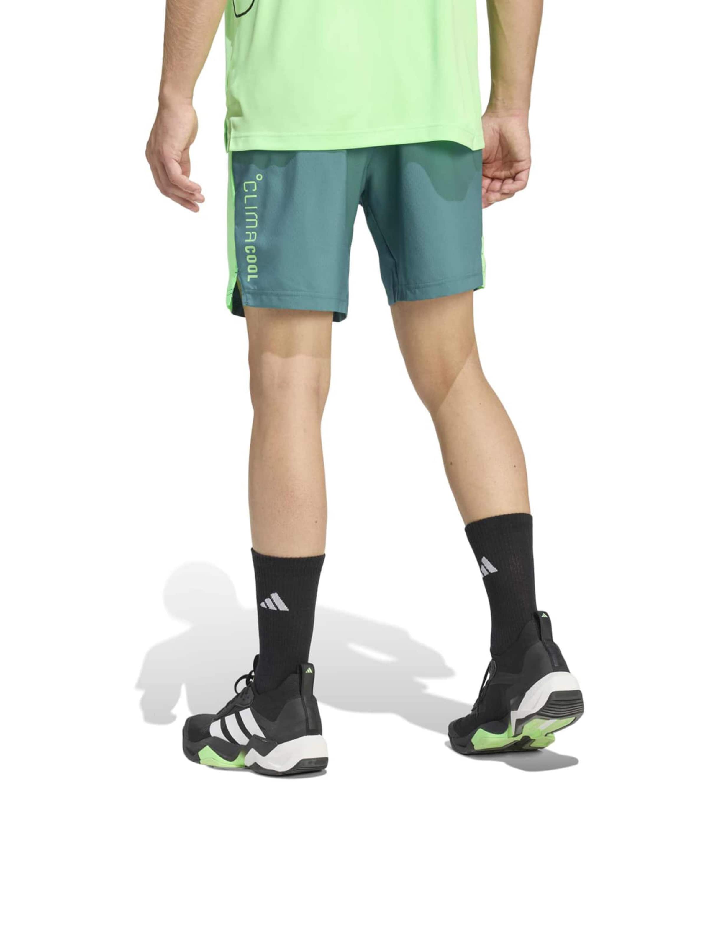 ADIDAS PERFORMANCE Обычный Спортивные штаны 'Tech Apparel' в Зеленый