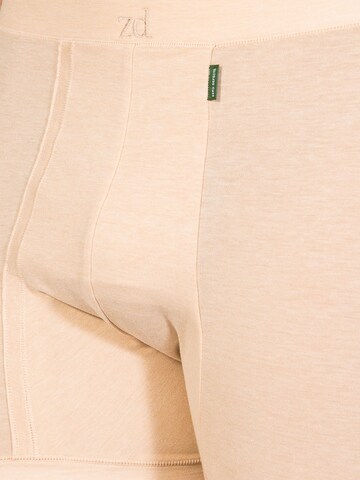 zd ZERO DEFECTS Boxer shorts 'Helios fly front boxer' in Beige