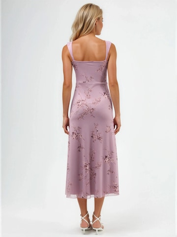 Hiccup Kleid in Pink