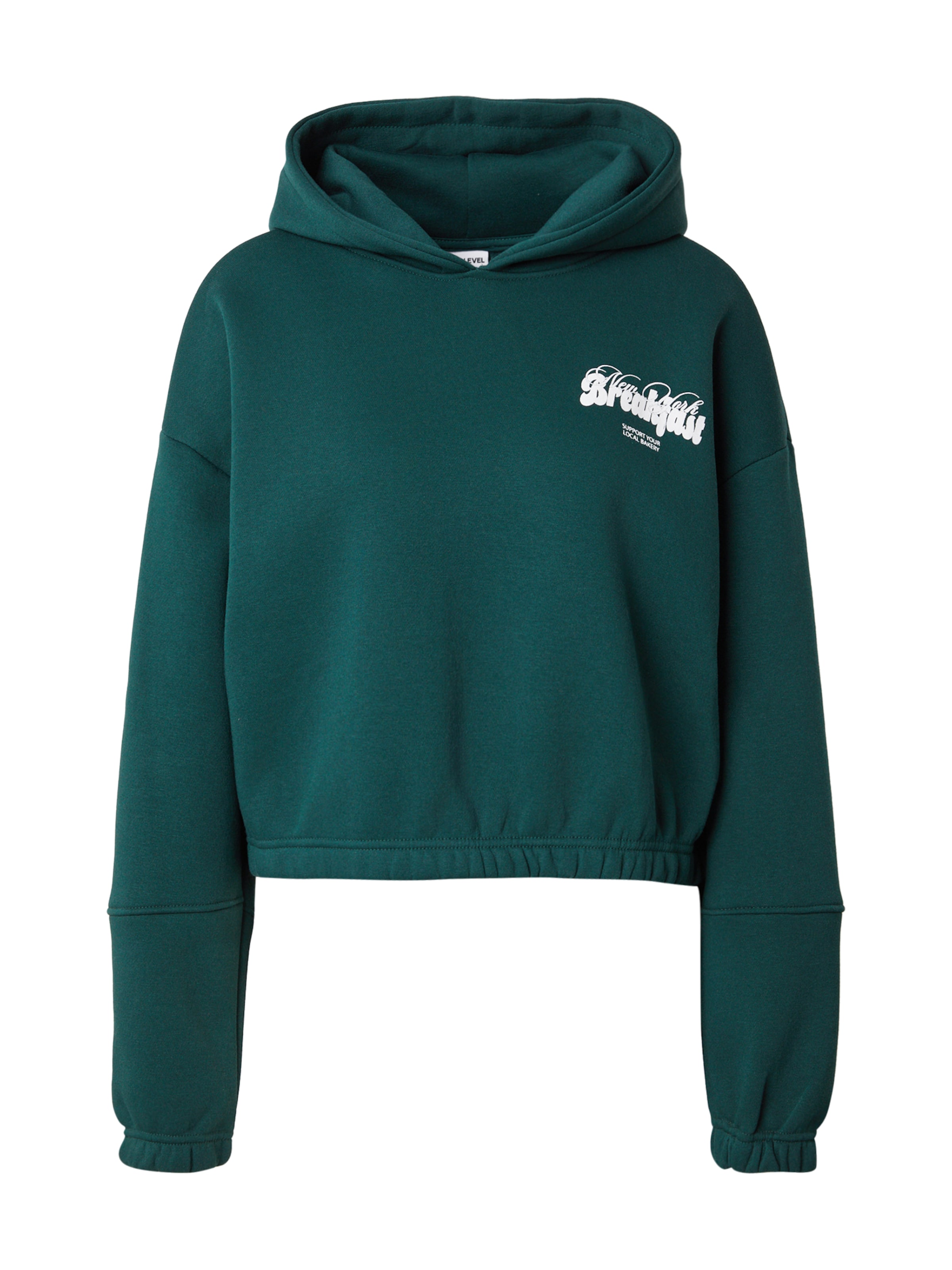 Sublevel Sweatshirt in Green: front