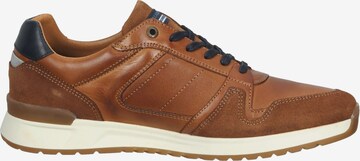 SALAMANDER Sneakers in Brown