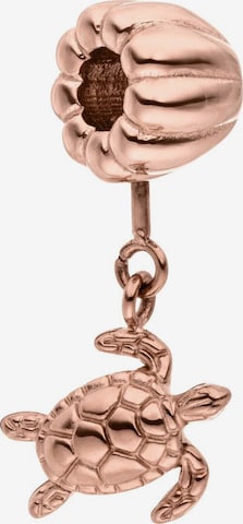 PURELEI Anhänger 'Tortoise' in Gold: Vorderseite
