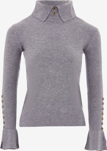 caissa Sweater in Grey: front