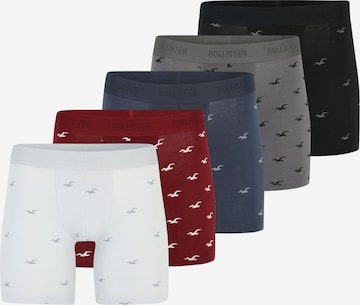 Mutande hollister shop