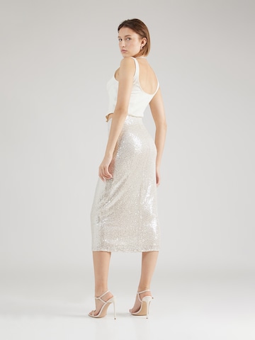 Warehouse Skirt in Silver