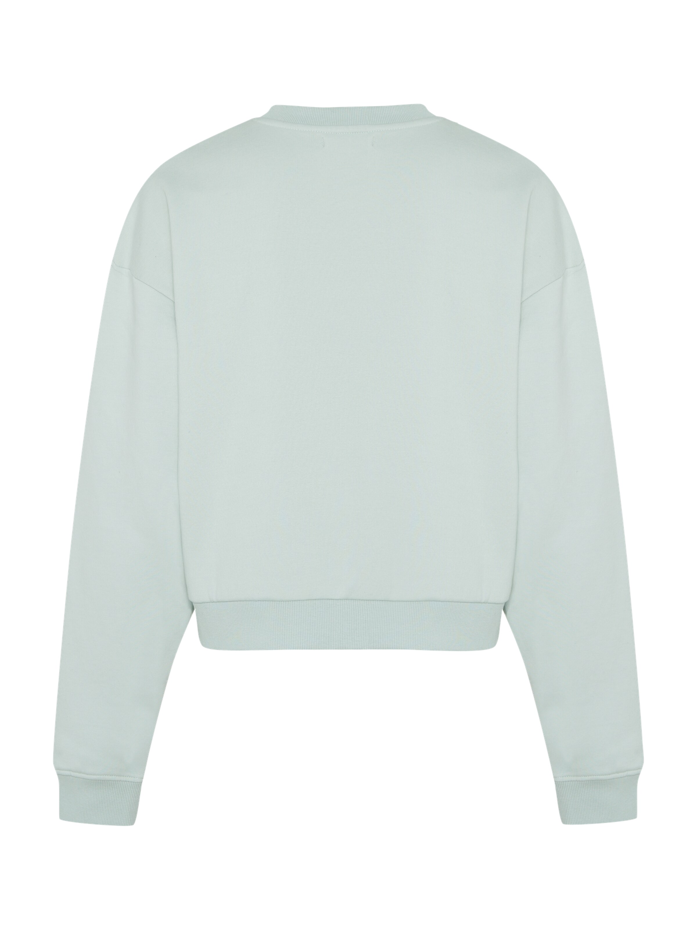 antargo Sweatshirt in Green