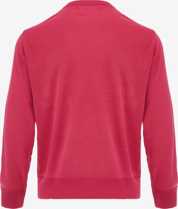 CELOCIA Pullover in Pink