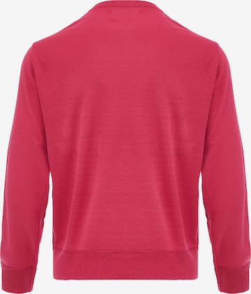 CELOCIA Sweater in Pink