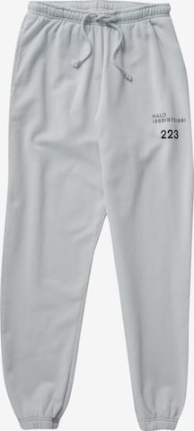 HALO Tapered Hose in Grau: predná strana