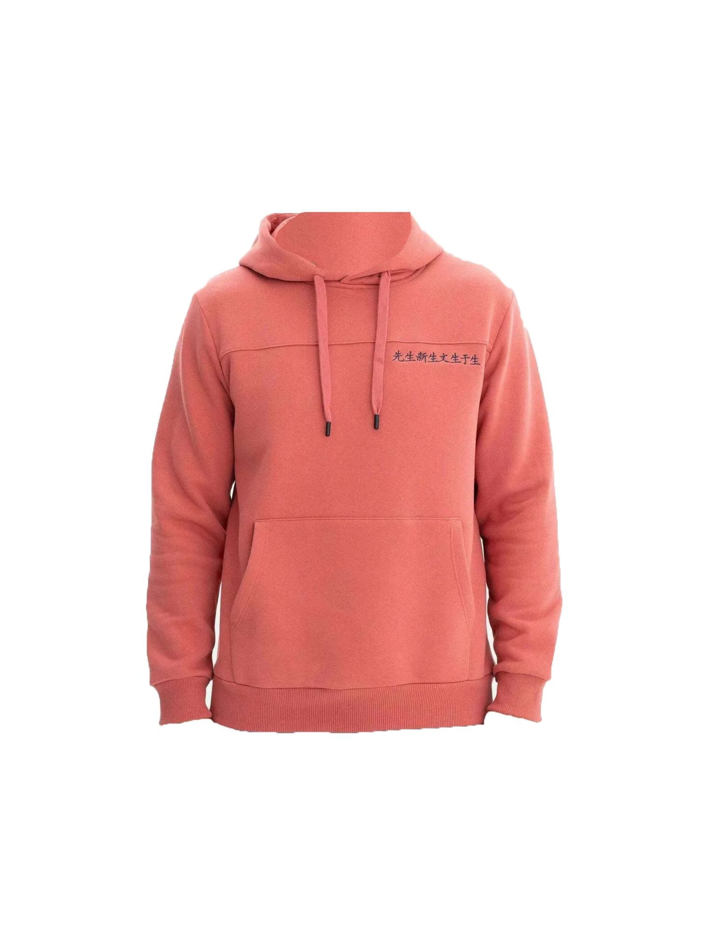 Arma Sweatshirt in Pink: front