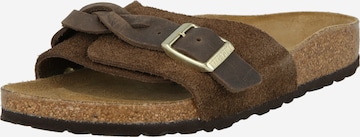 BIRKENSTOCK Pistokkaat 'Oita' värissä ruskea: etupuoli