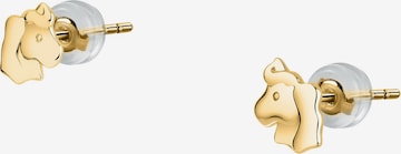 FAVS Little Friends Ohrringe in Gelb: Vorderseite