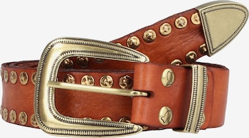 Ceinture Campomaggi en marron : devant