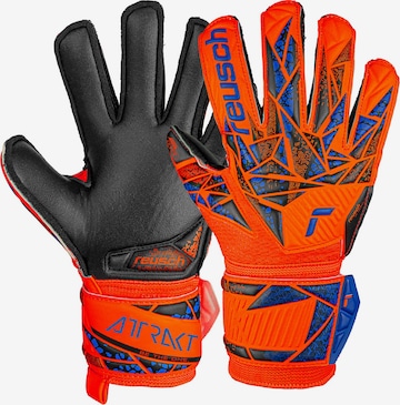 REUSCH Athletic Gloves 'Attrakt Silver Junior' in Orange: front