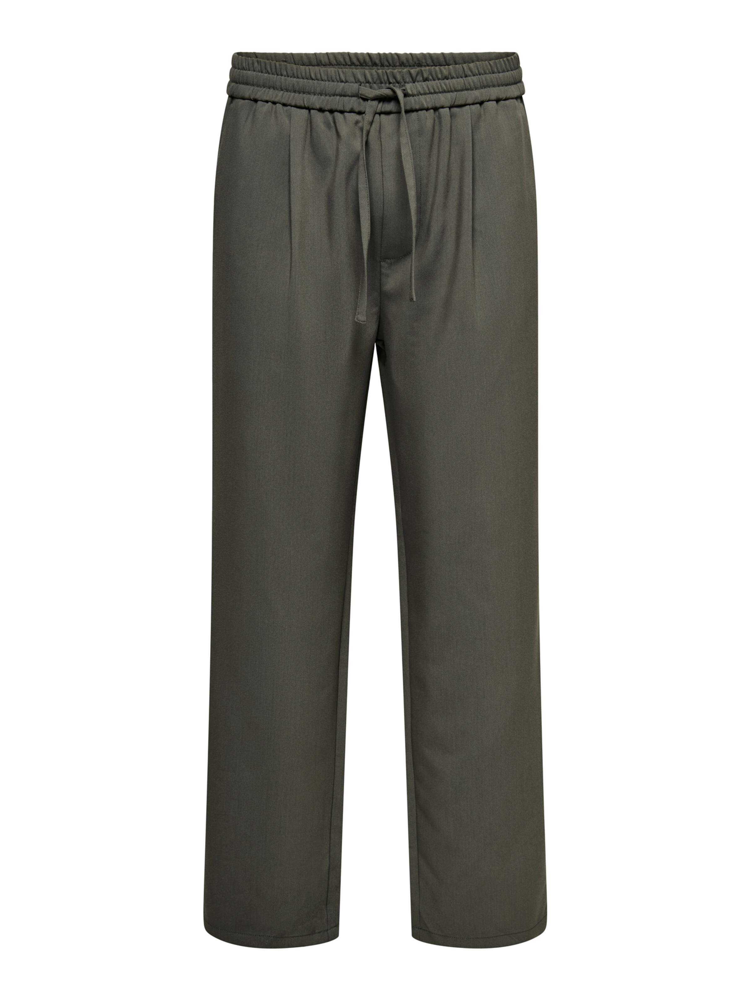 Only & Sons Pleat-front trousers 'ONSWILL' in Grey: front