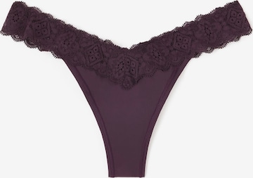 INTIMISSIMI Panty in Purple: front